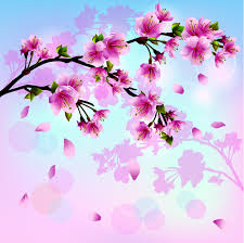 Many types of cherry blossom trees